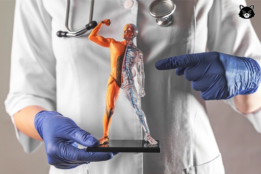 Fisiologia Humana Introdutória